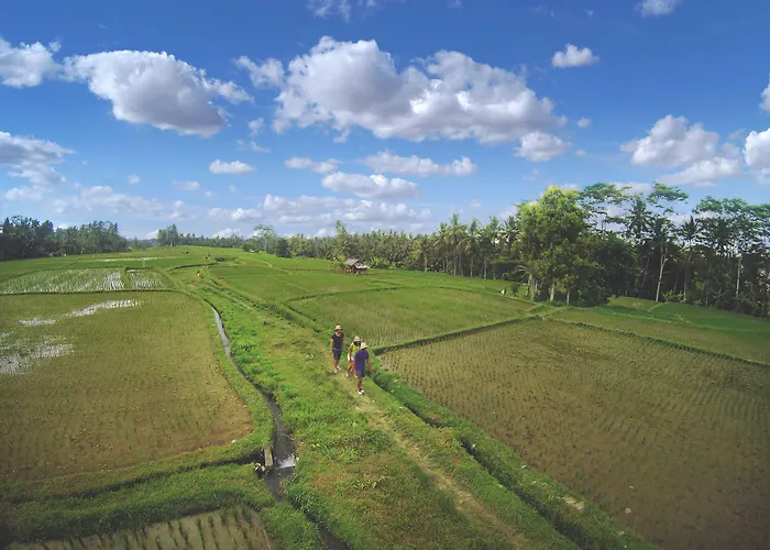 Dedary & Ubud By Ini Vie Hospitality 5*