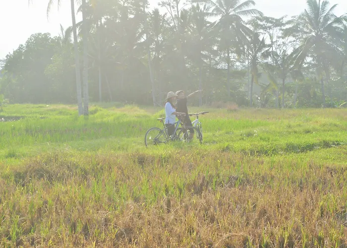 Hotel Dedary & Ubud By Ini Vie Hospitality Tegallalang (Bali)