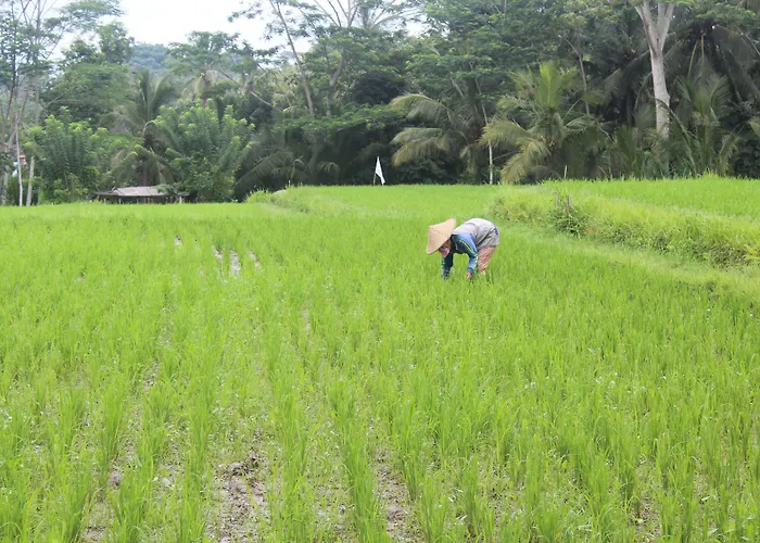 Hotel Dedary & Ubud By Ini Vie Hospitality Tegallalang (Bali)
