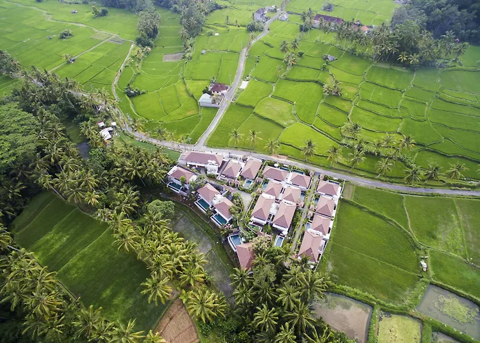 Dedary & Ubud By Ini Vie Hospitality Tegallalang (Bali)