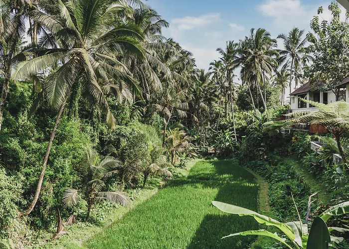 Hotel Dedary & Ubud By Ini Vie Hospitality 5*