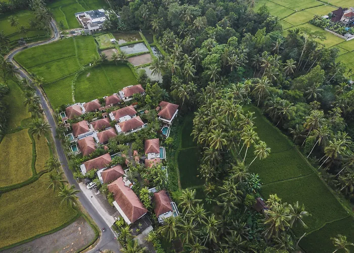 Dedary & Ubud By Ini Vie Hospitality Hotel 5*