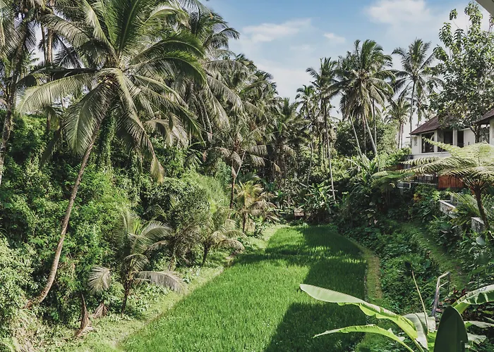 Dedary Resort Ubud By Ini Vie Hospitality Resort
